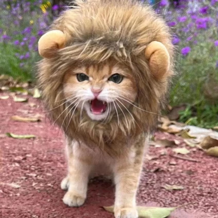 Mane Suspect™ – Brown Lion Mane Pet Costume