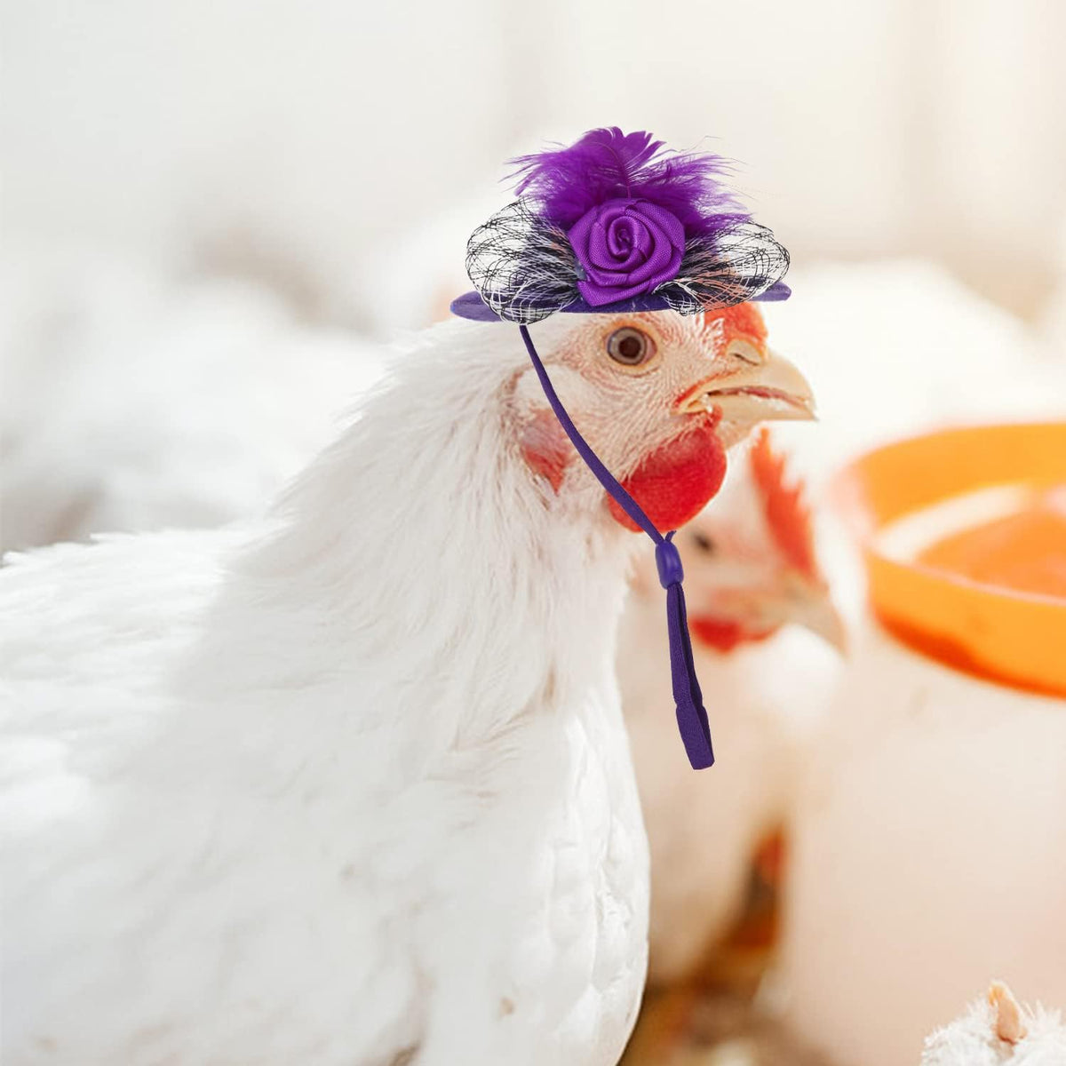 The Fancy Clucker™ – 6-Piece Hen Hat Set