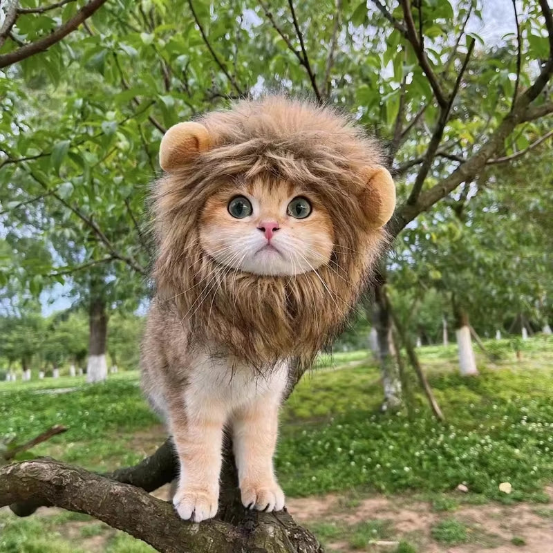 Mane Suspect™ – Brown Lion Mane Pet Costume