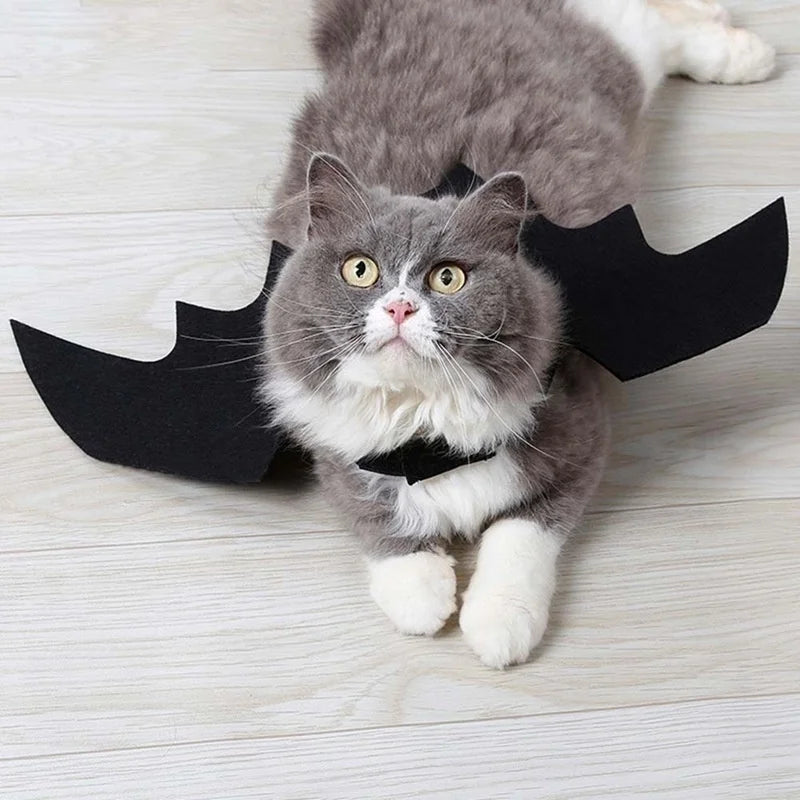 Bat Decisions™ – Halloween Pet Bat Wings Harness 🦇