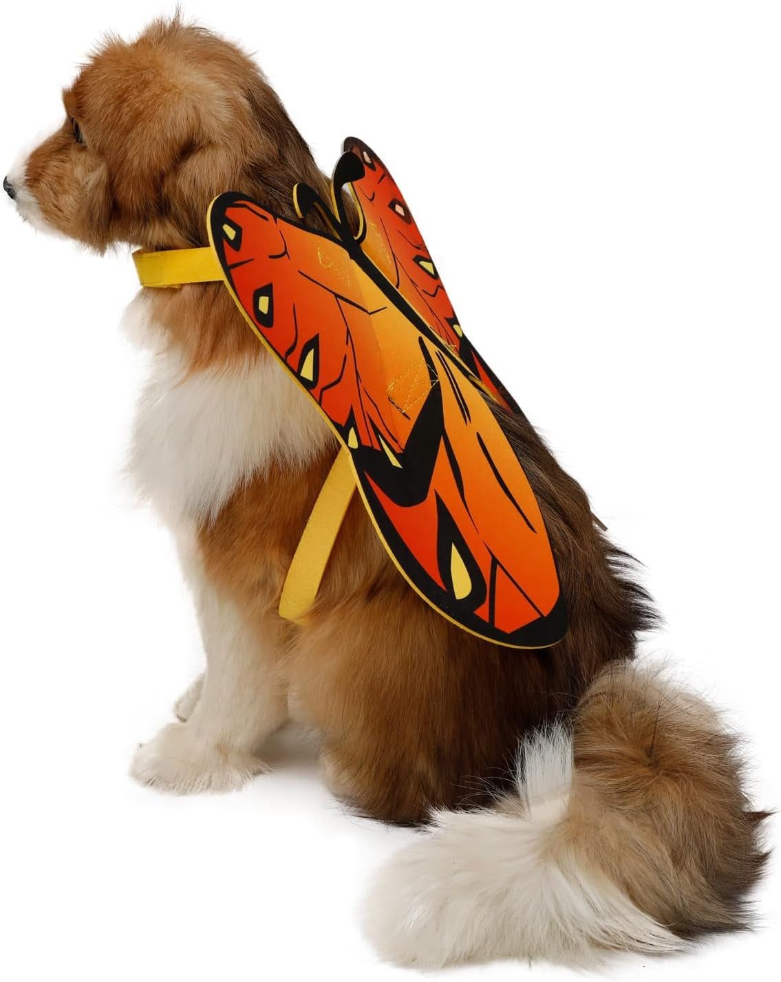 Flight Risk™ – Butterfly Wings Pet Costume 😂 Medium Size Only At This Time