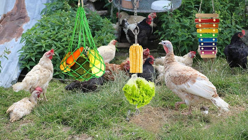 The Fowl Behavior™ Boredom Buster Kit