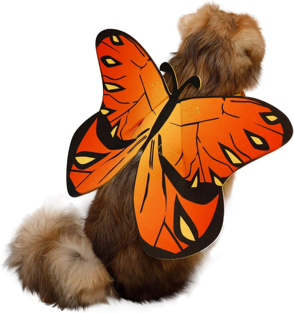 Flight Risk™ – Butterfly Wings Pet Costume 😂 Medium Size Only At This Time