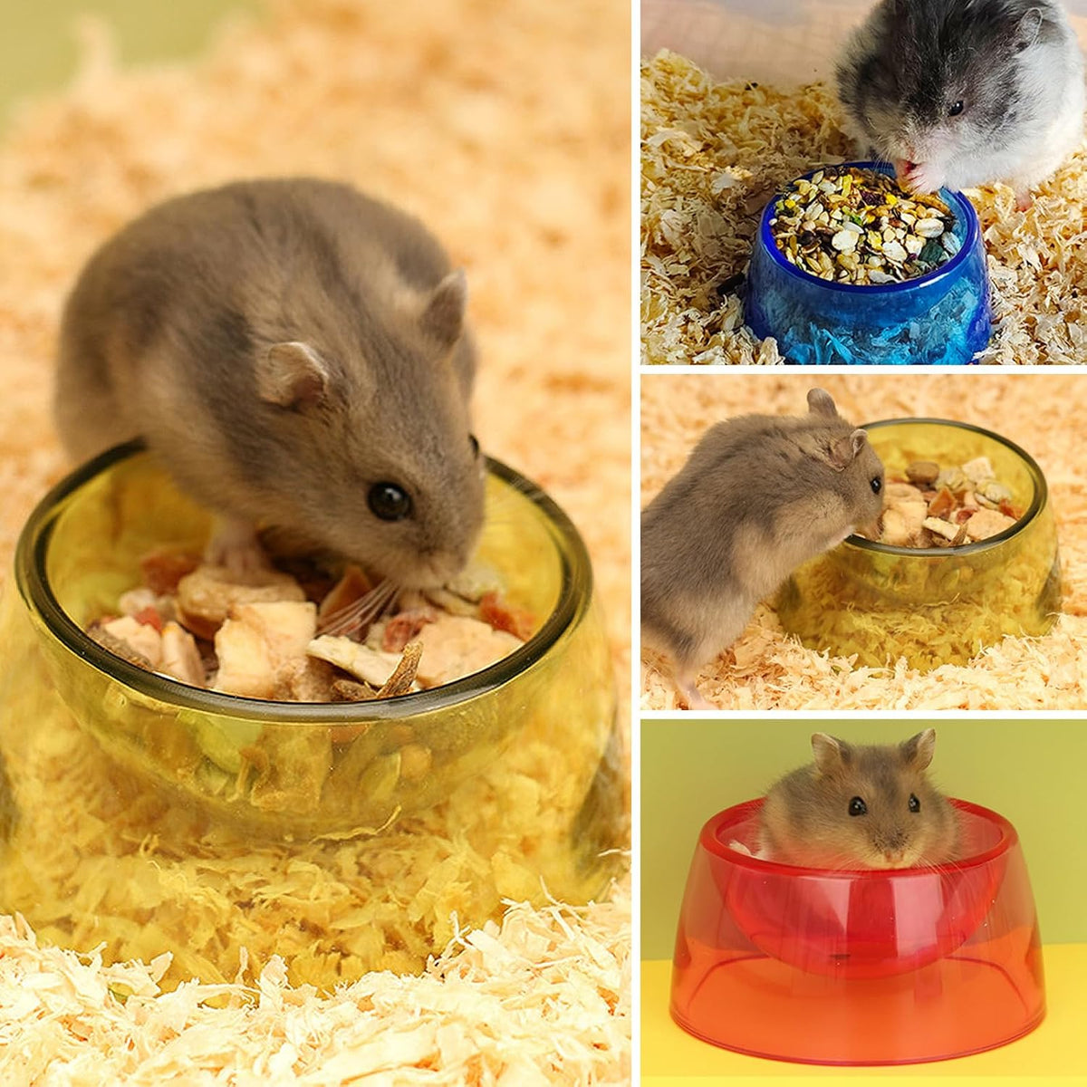 Tiny Diner™ – 3-Piece Small Pet Food & Water Bowl Set
