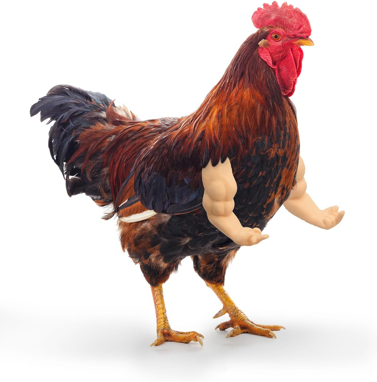 Armed & Feathered™ – 3-Pair Chicken Arm Set