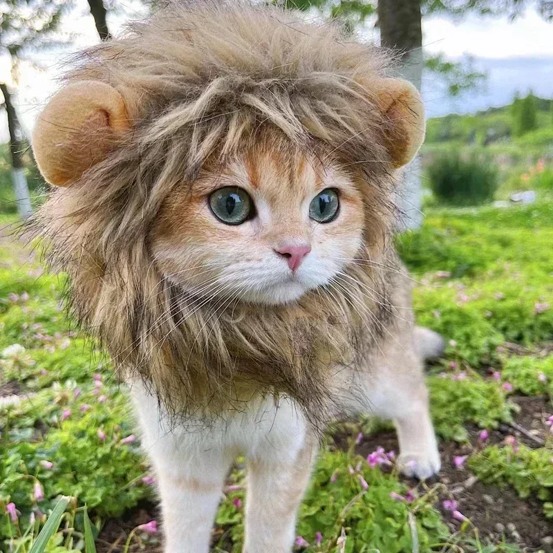 Mane Suspect™ – Black Lion Mane Pet Costumes