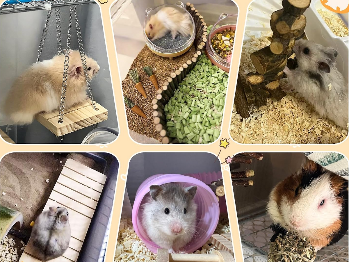 The Tiny Trouble Park™ | 40-Piece Small Pet Playground