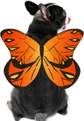 Flight Risk™ – Butterfly Wings Pet Costume 😂 Medium Size Only At This Time