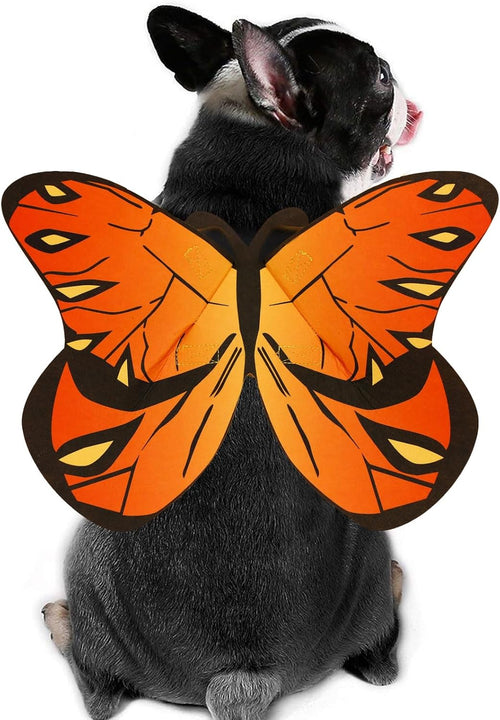 Flight Risk™ – Butterfly Wings Pet Costume 😂 Medium Size Only At This Time